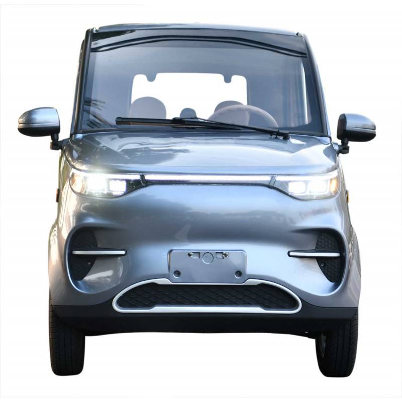 Futura Flow Li 2xAkku Li-Io 45kmh/4000W/2x60Ah GR E-Kabinenroller