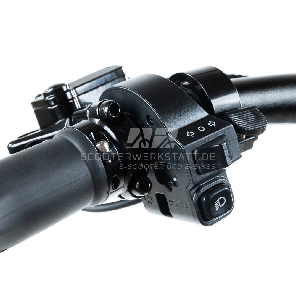 Upgrade inkl. Einbau Teverun Fighter Mini (ABE geht verloren)