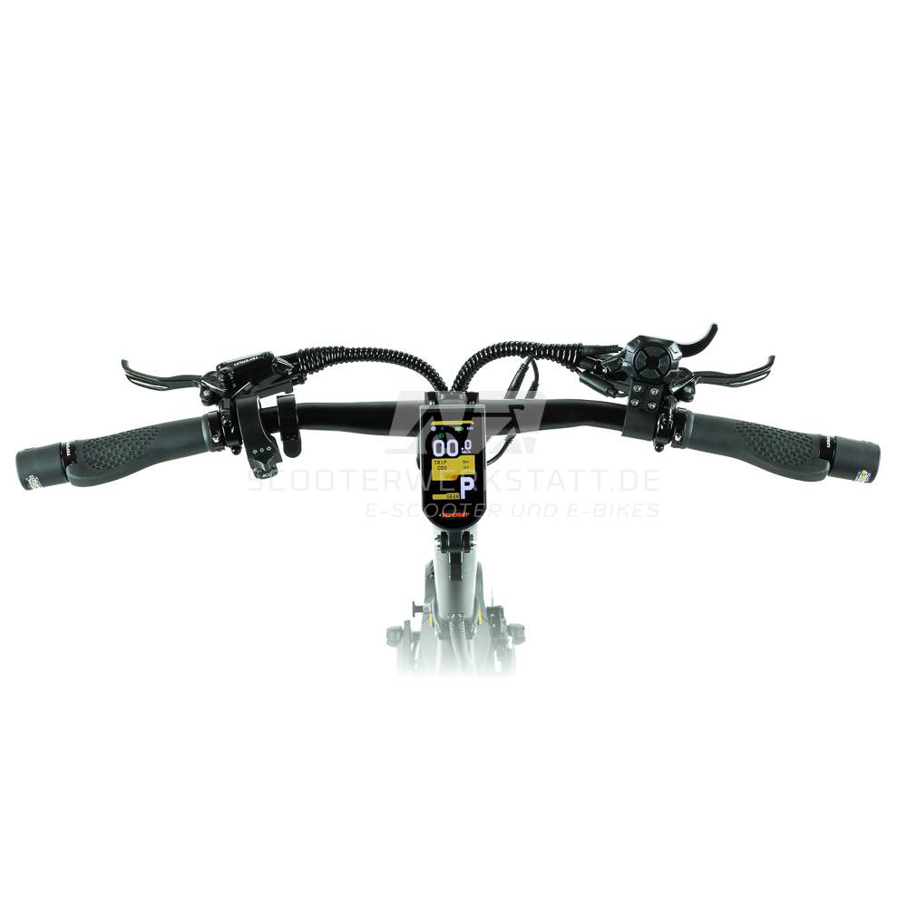 Upgrade inkl. Einbau Teverun Fighter Mini (ABE geht verloren)