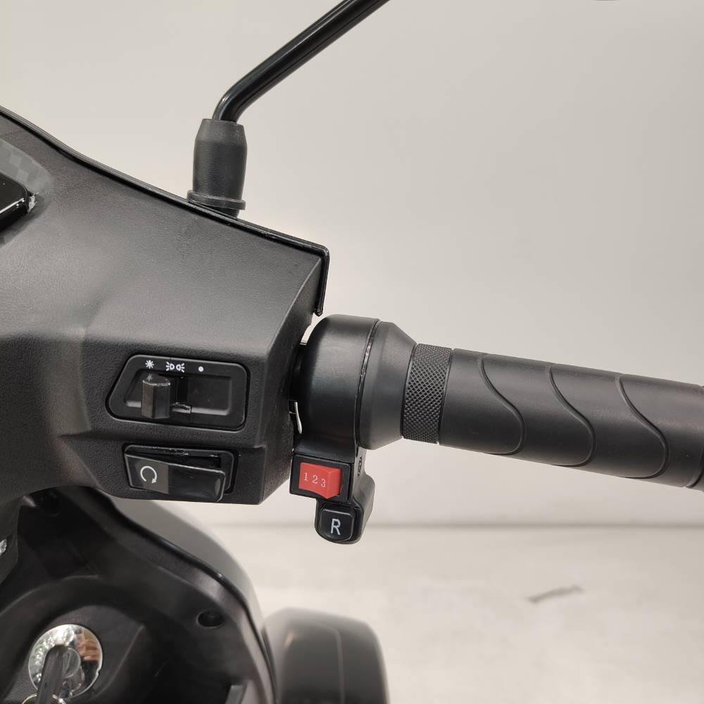 Elion L4 Li-Io 25kmh/1000W/60V/40Ah/160kg/80km RT Seniorenmobil